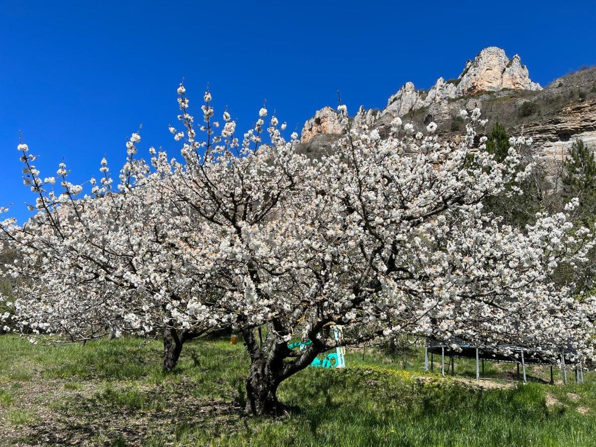 Gite Du Vallon Des Sources Millau Dış mekan fotoğraf